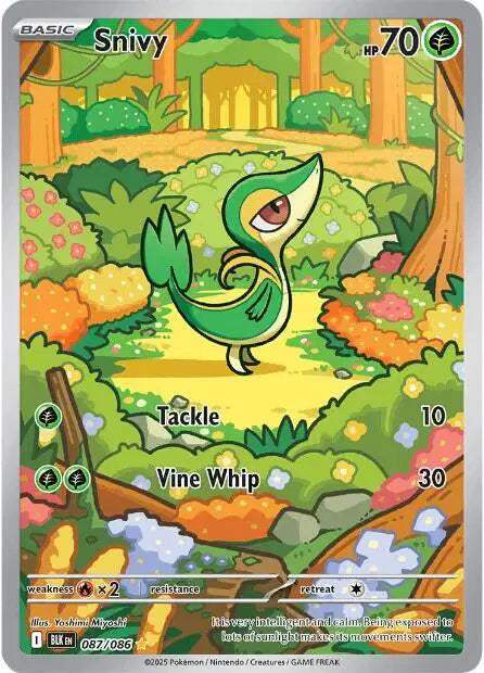 Snivy 87 Black Bolt